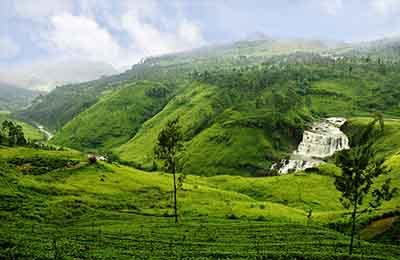 Nuwara Eliya Sri Lanka Tours