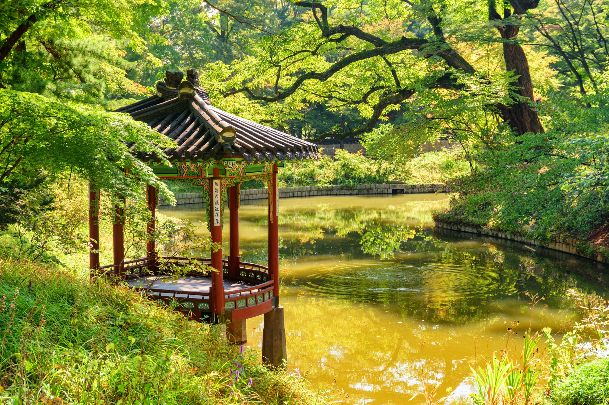Published Column: The Need for “The Korean Garden in Atlanta”