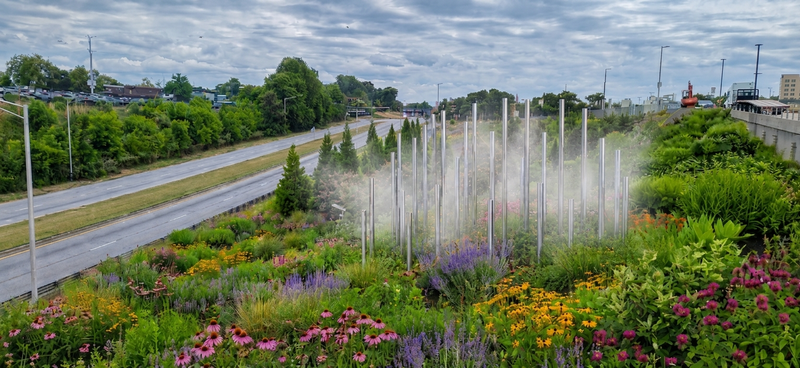 A POLLINATOR GARDEN