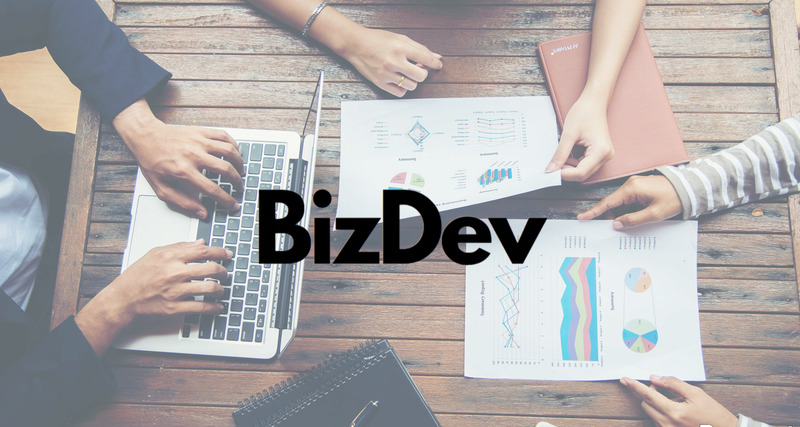 ייעוץ, ליווי, הדרכה ופיתוח מנהלים ועסקים