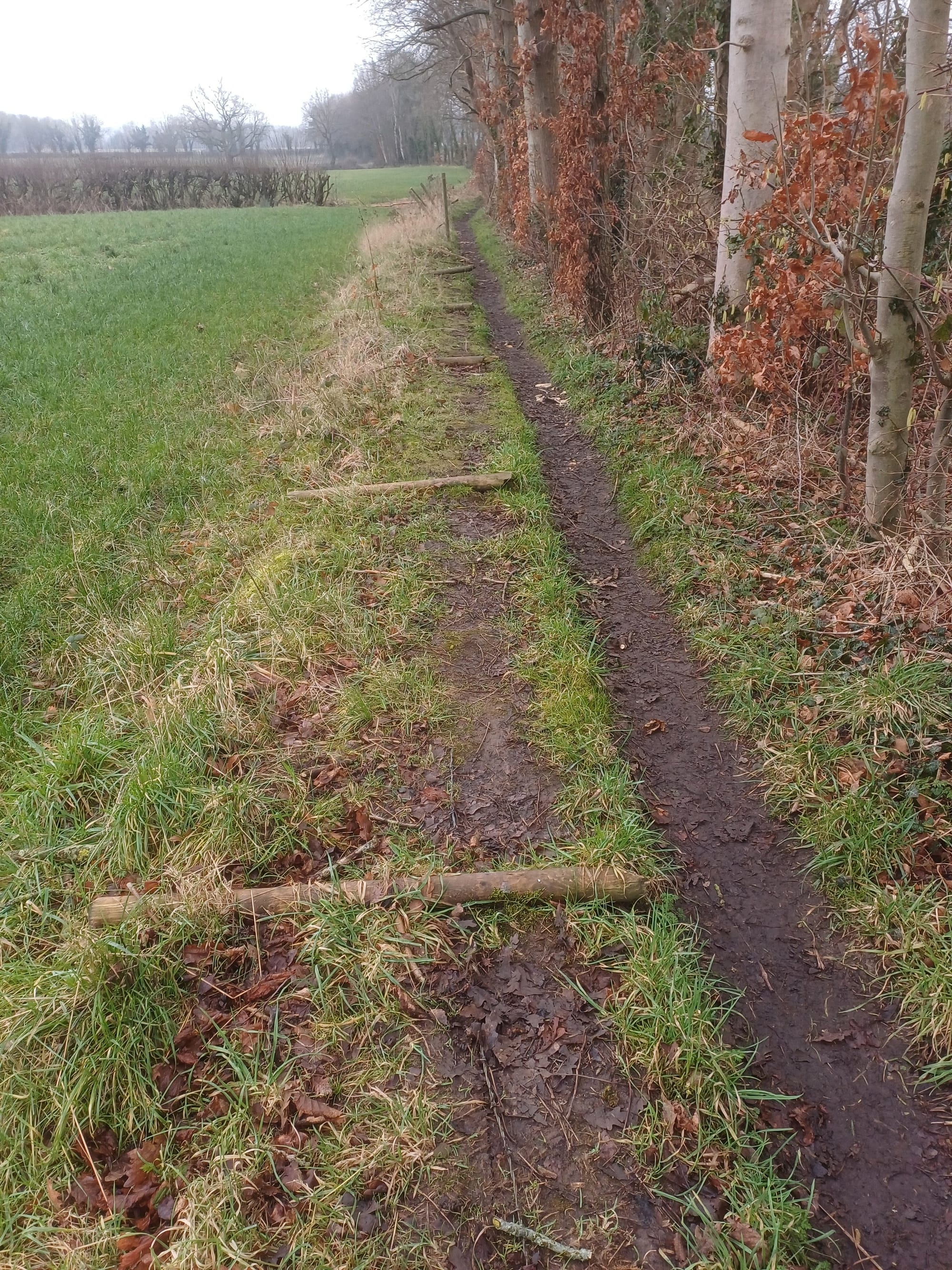 Broken barbed wire fence along footpath