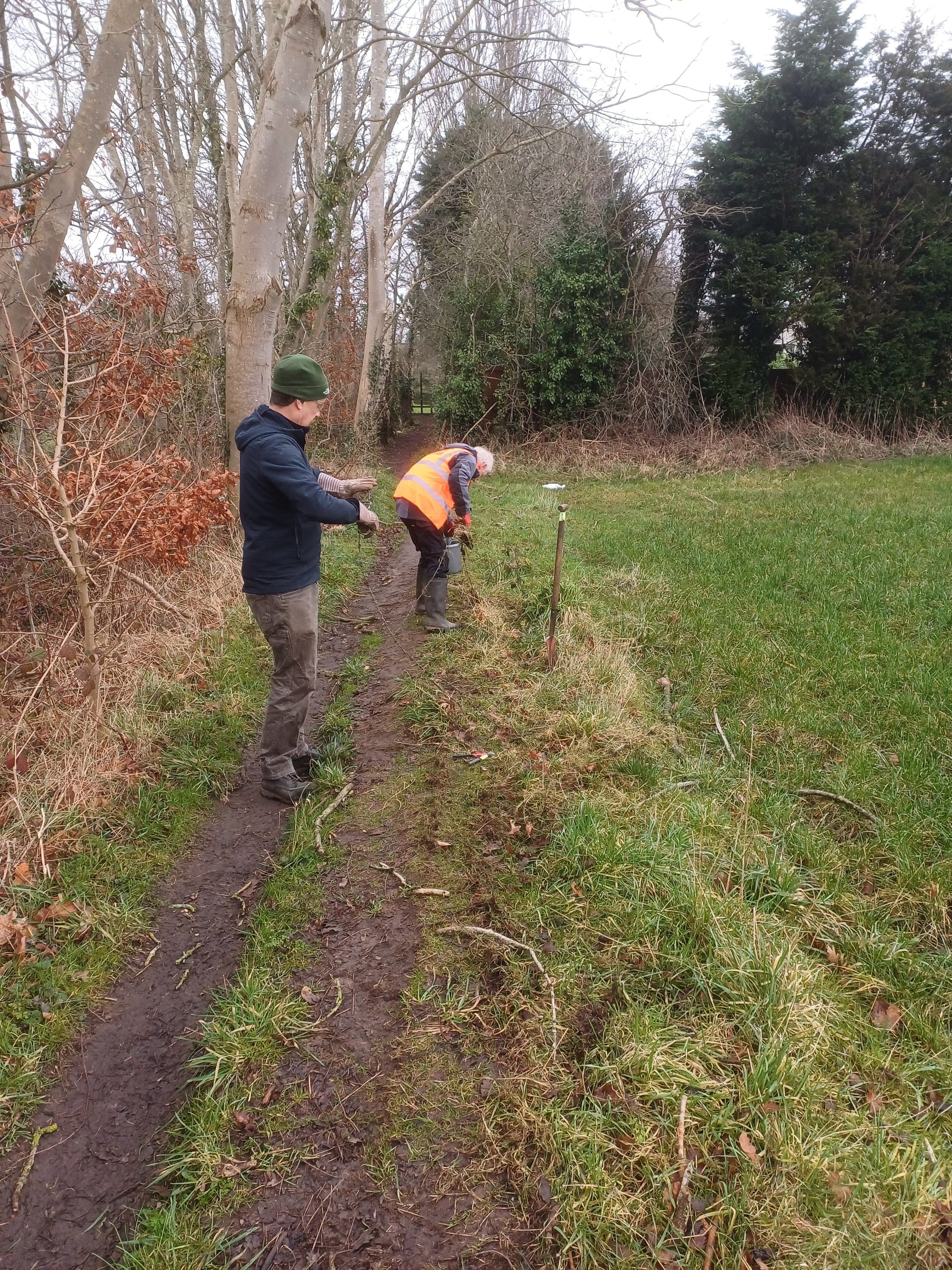 Removing barbed wire fence