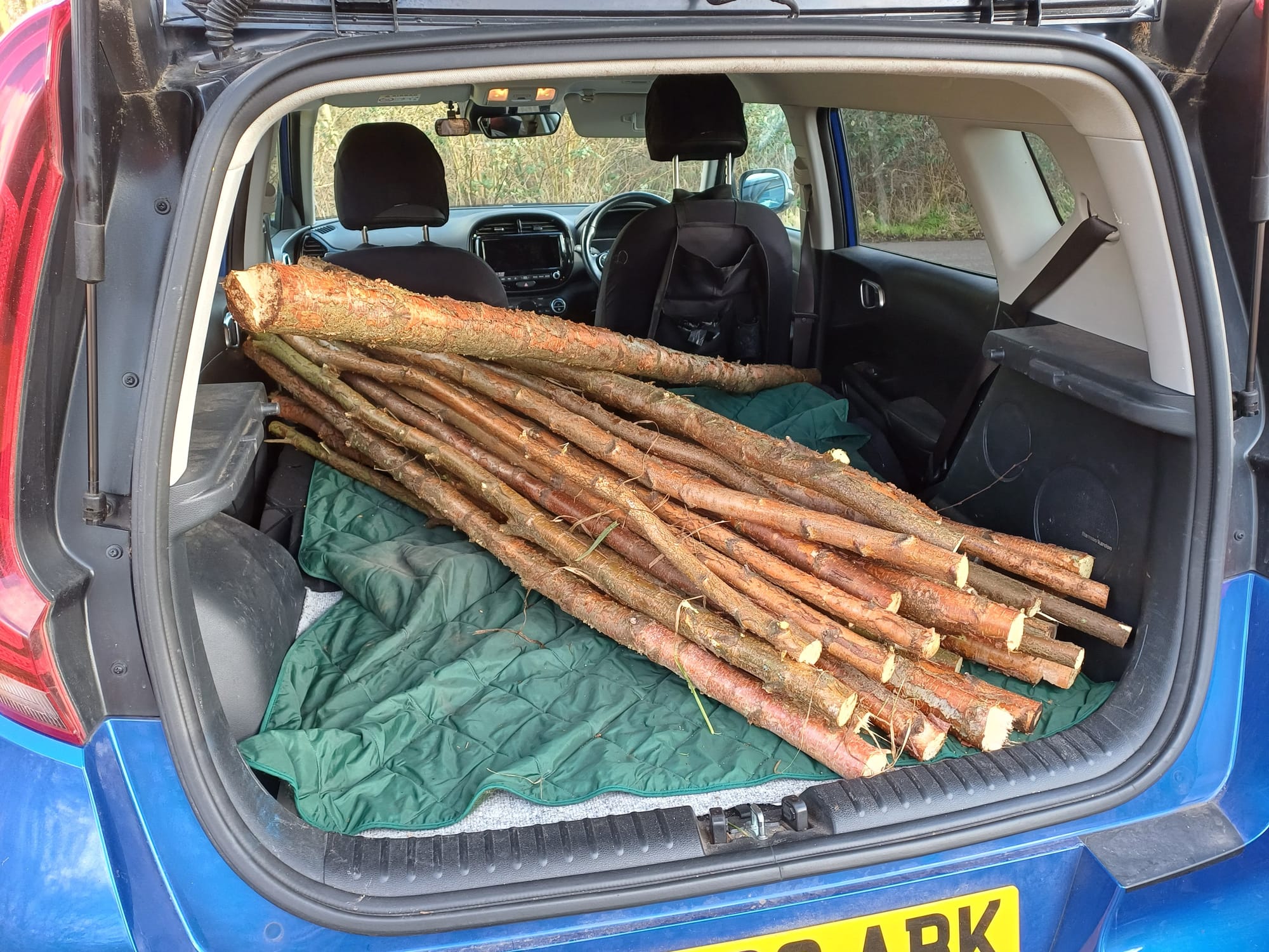 Birch hedging stakes going away.