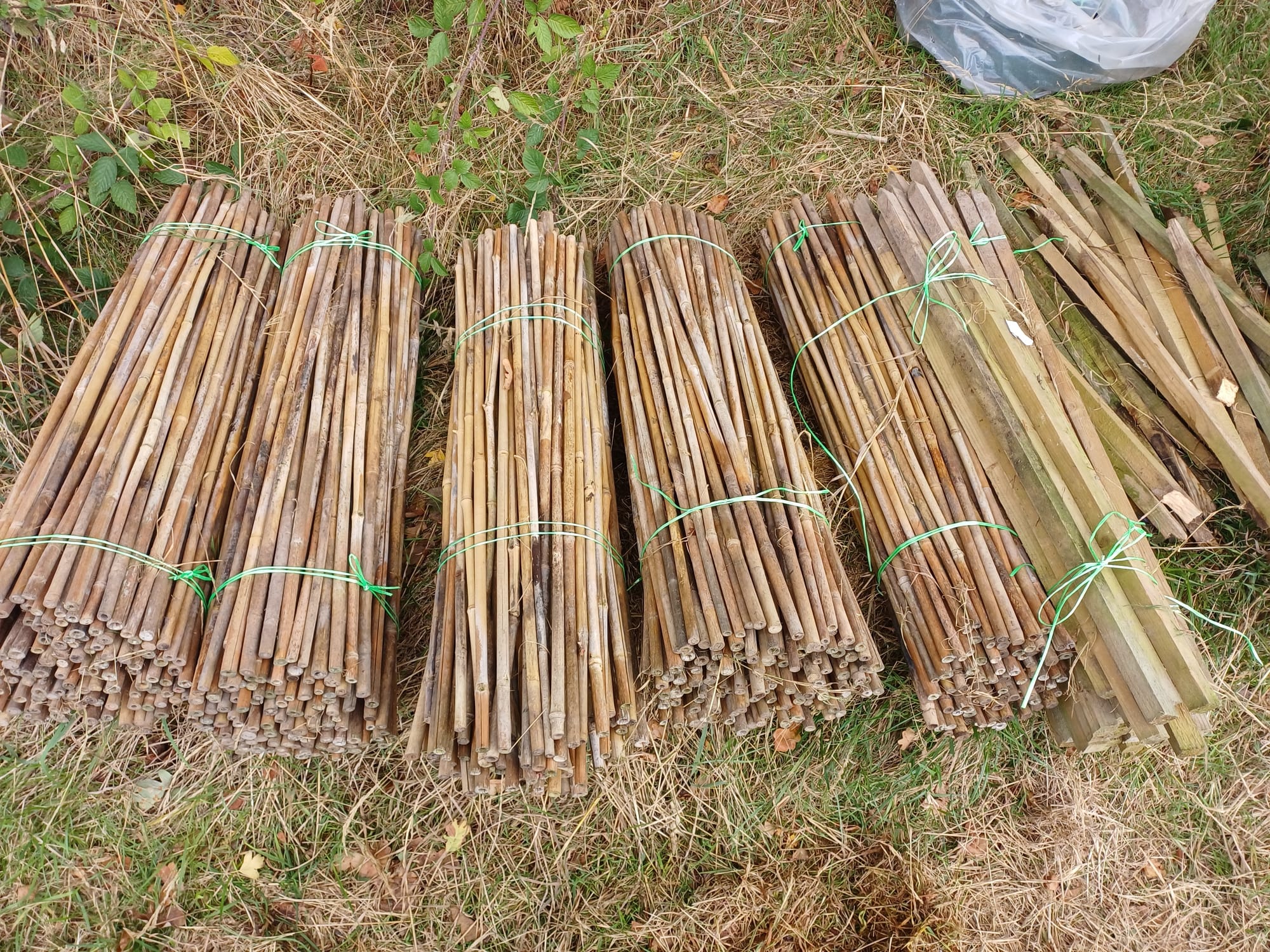 Full bamboos ready for reuse.