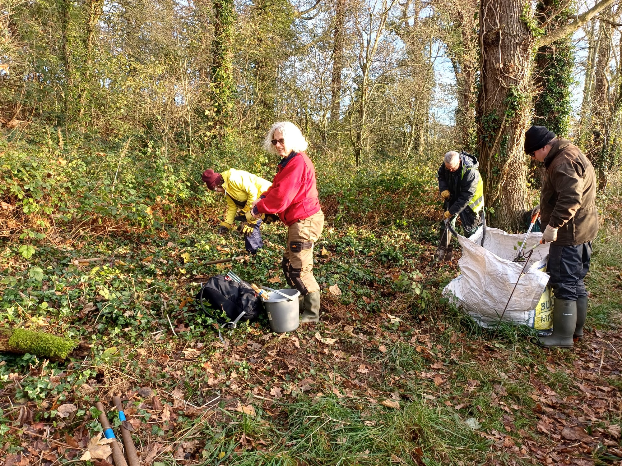 Possible orchid area.