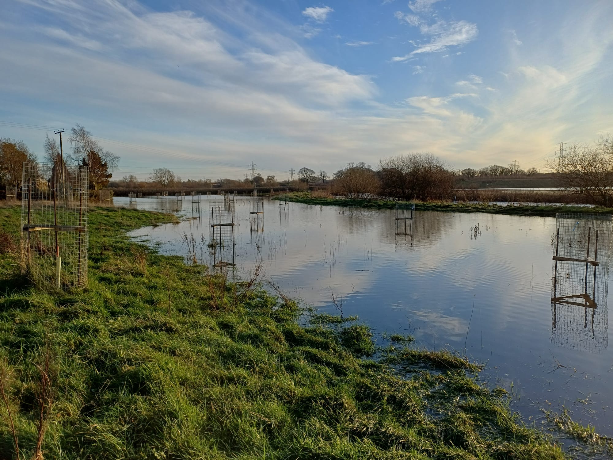 Flooding in lower field.