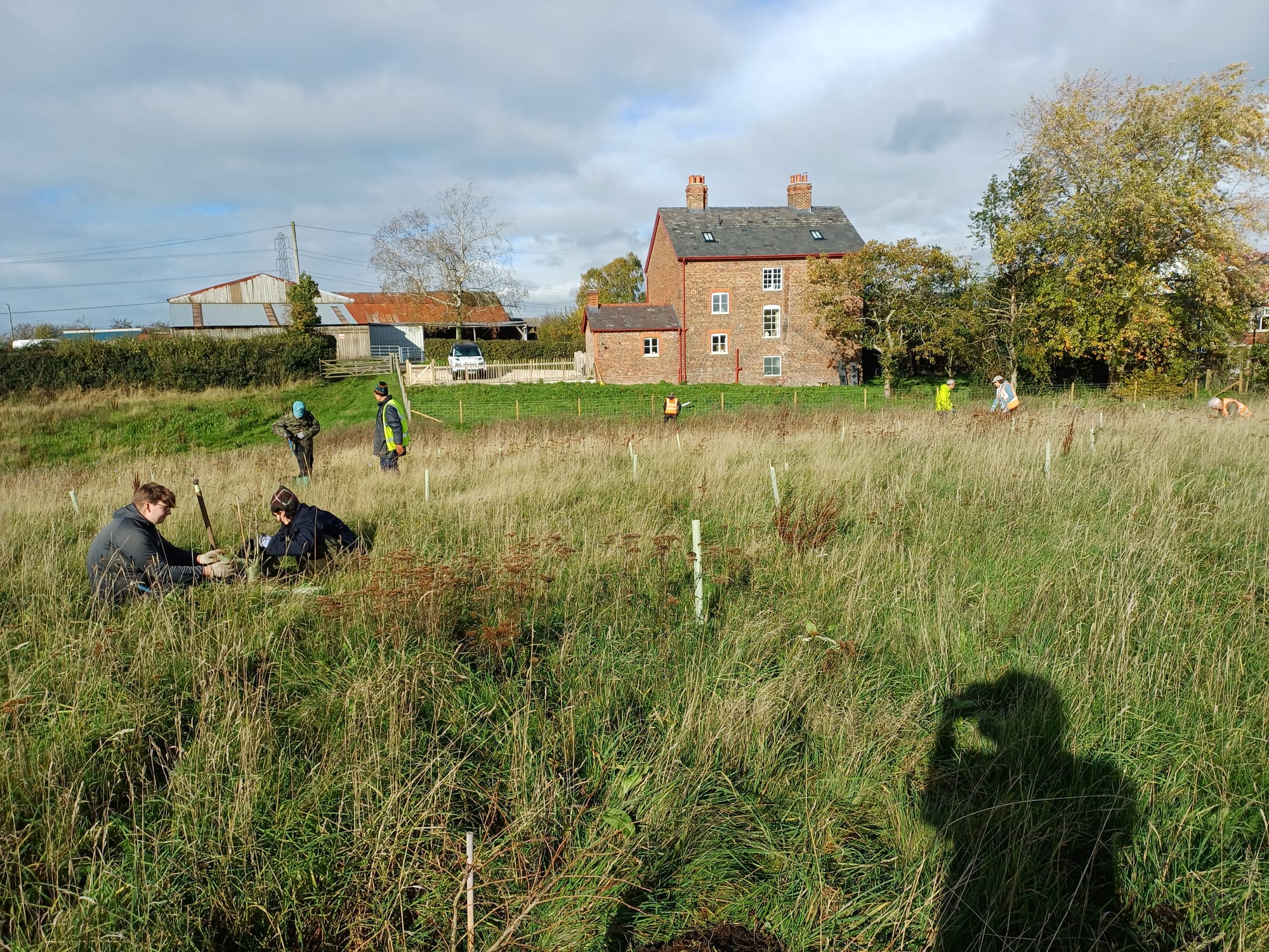 Replacement tree planting after the drtought of 2025.