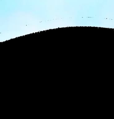 MOTION ADS2 thumbnail