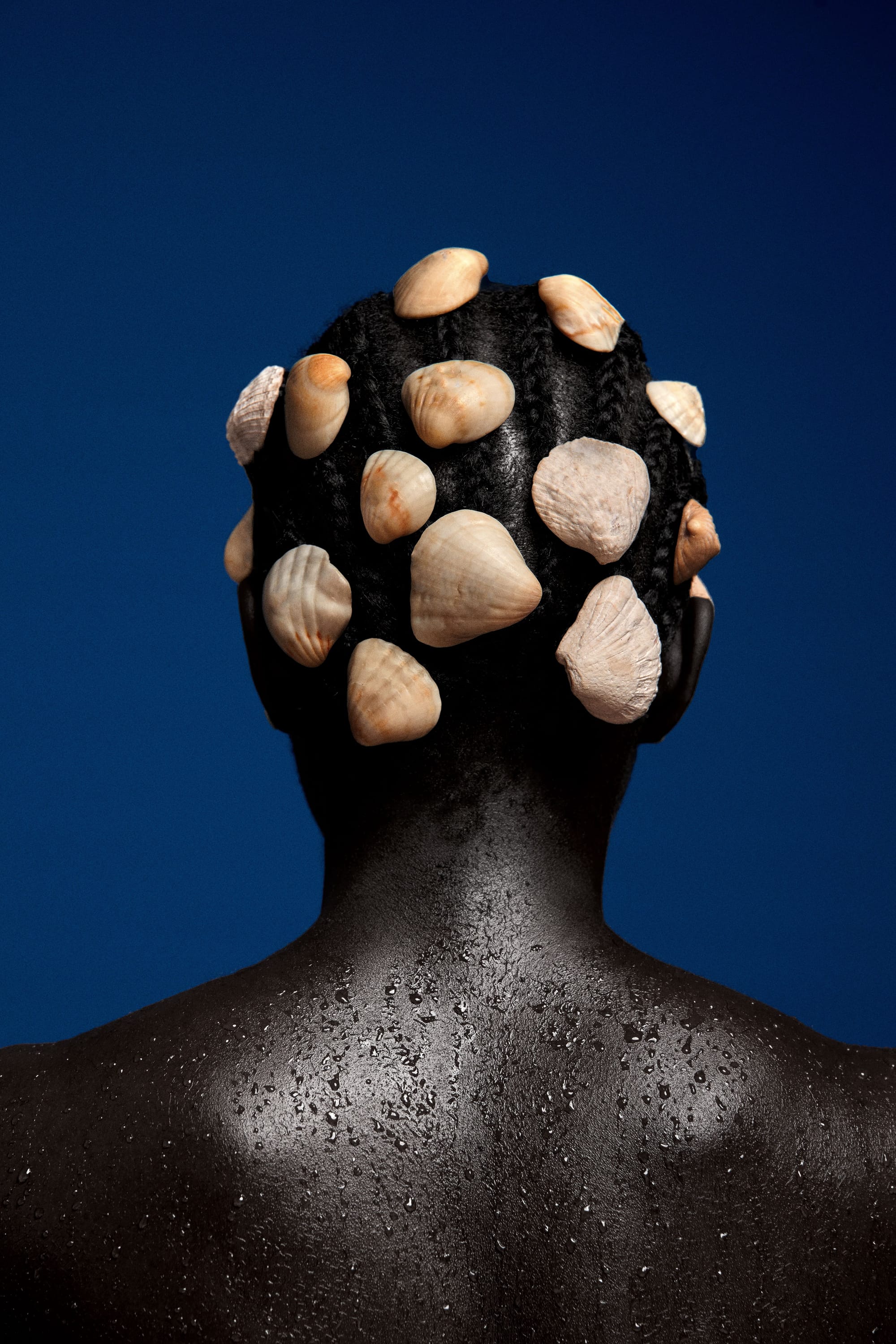 Water of my head (Omi Ori mi)