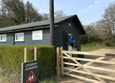 Therapeutic Alternative Provision image