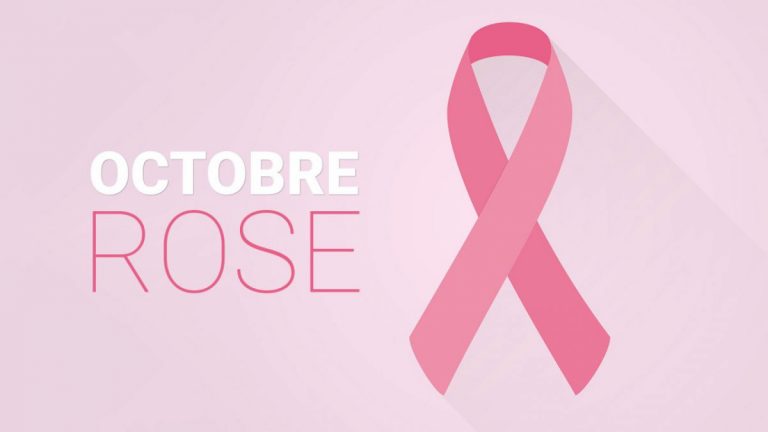 Les membres de la 
501st Luxembourg Garrison