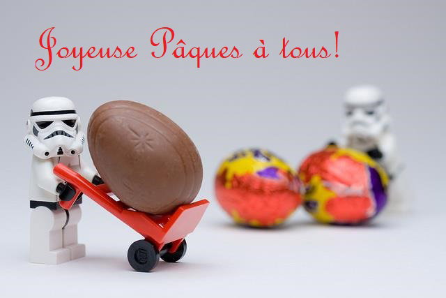 Les membres de la
501st Luxembourg Garrison