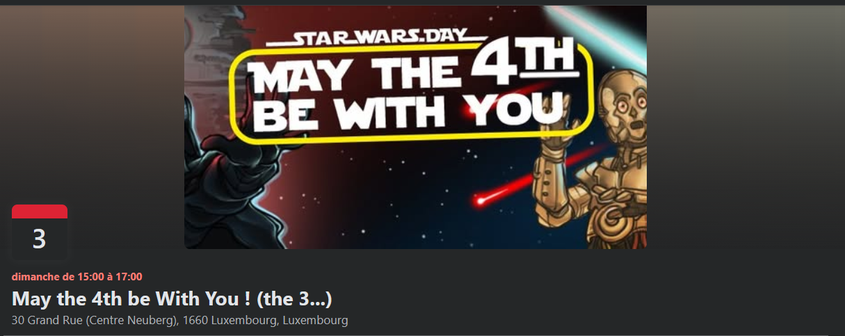 Les membres de la 
501st Luxembourg Garrison