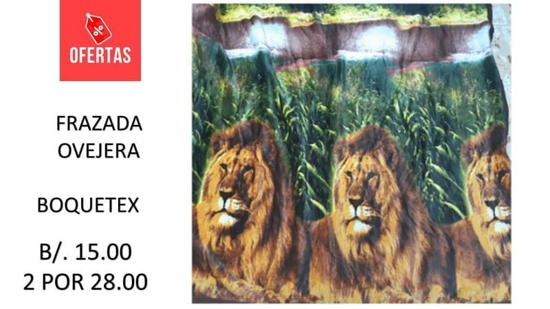 FRAZADA GRUESA DOBLE