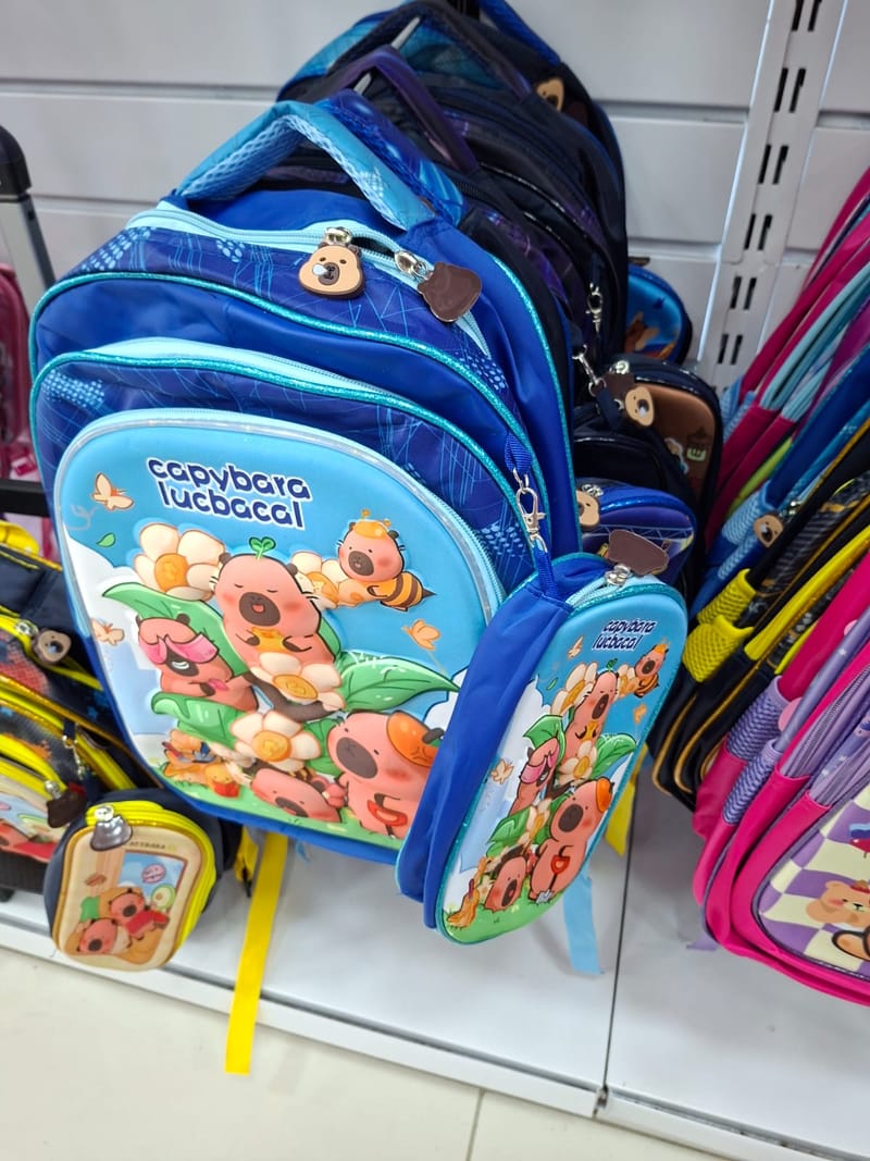 Mochilas
