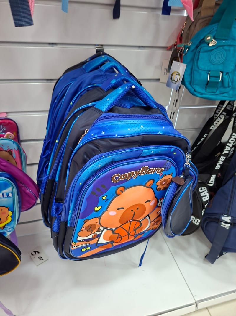 Mochilas