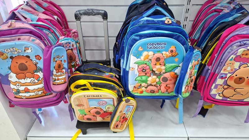Mochilas
