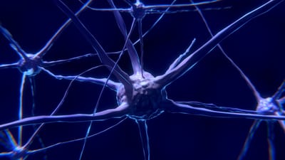 Hva er EpilepsiNett? image