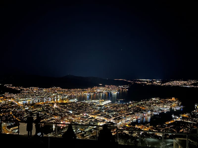 Høstmøte for forskere i EpilepsiNett