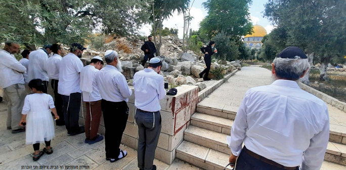 סרוגים: גפני הוציא את מנהלת הר הבית מרשימת העמותות שפטורות ממס