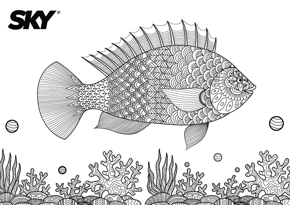 Desenhos para Colorir - Área Infantil - Estande Sky