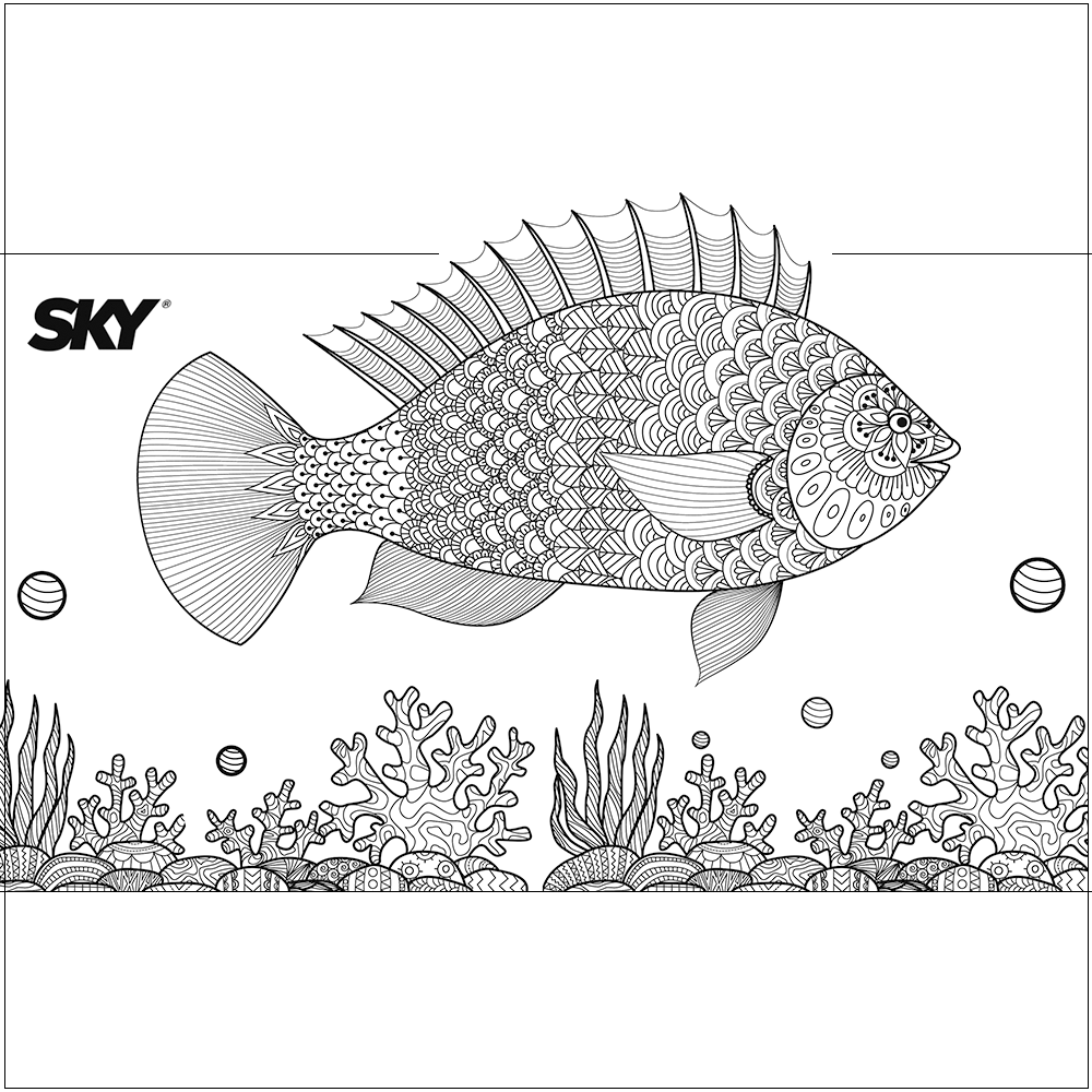 DESENHOS PARA COLORIR