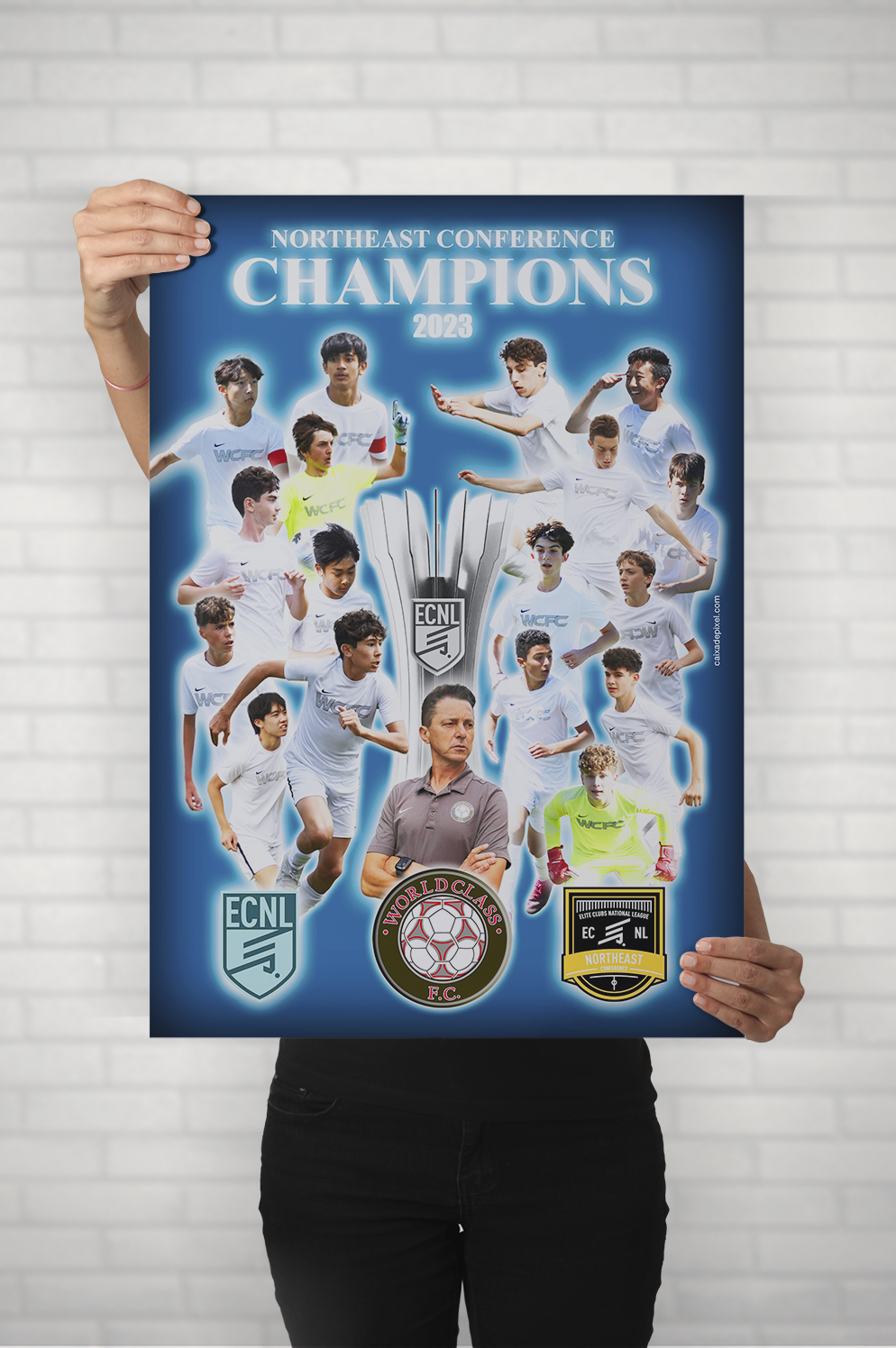 Pôsteres Comemorativos