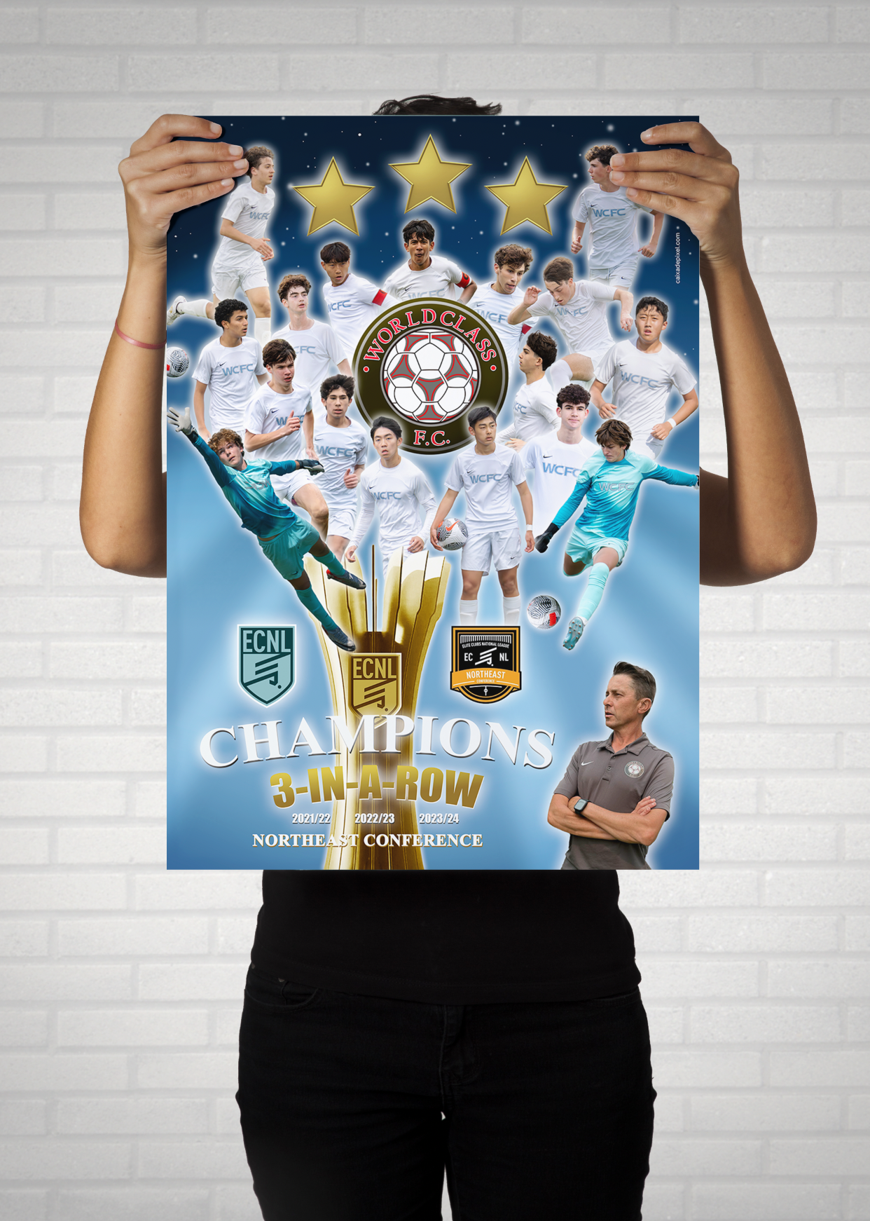 Pôsteres Comemorativos