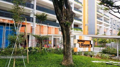 Electrician in MacPherson: When to Repair or Upgrade Your DB Box