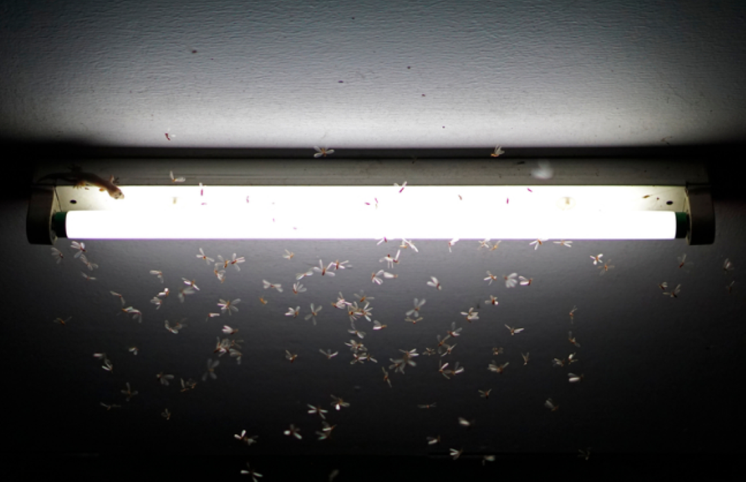 23 common problems with LED lighting. Image 17