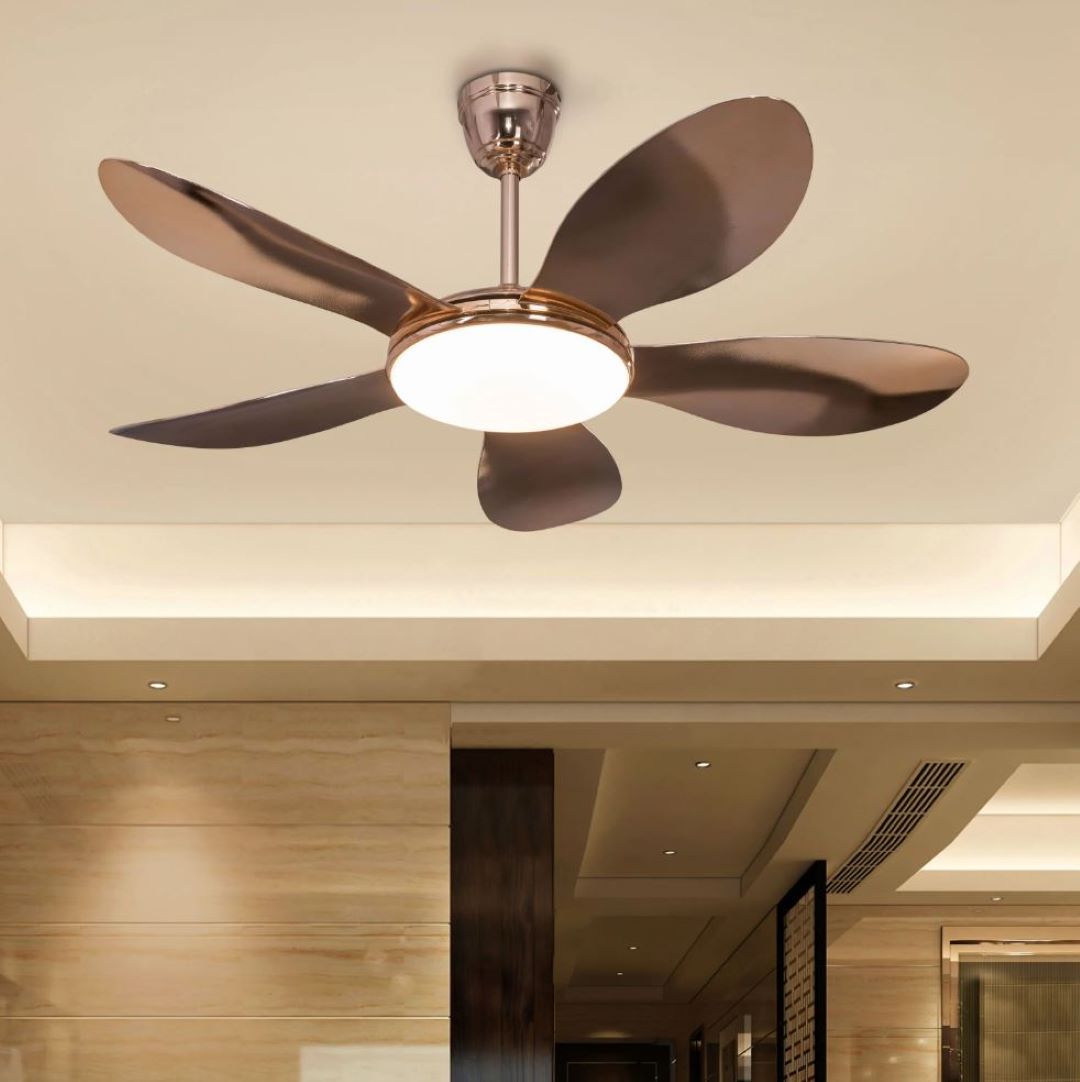 Why Does My Electric Ceiling Fan Turn On but Not Spin? Image 13