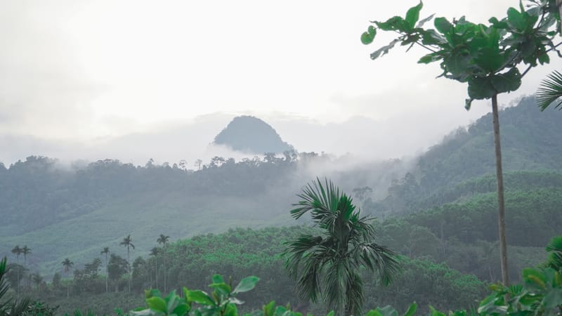 Giving gifts to the mountainous people of Quang Ngai