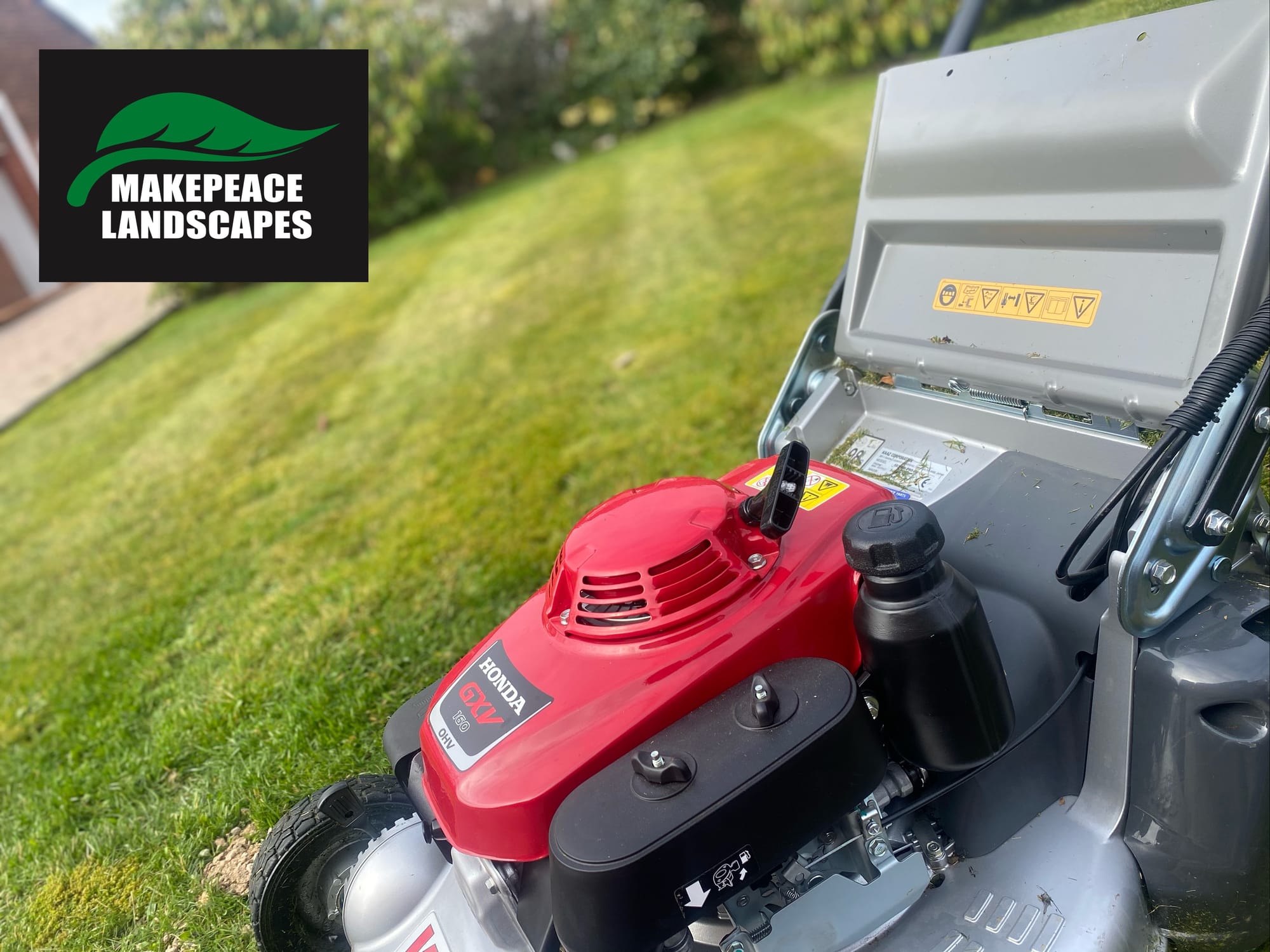 Terms and Conditions