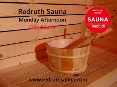 MONDAY GAY SAUNA image