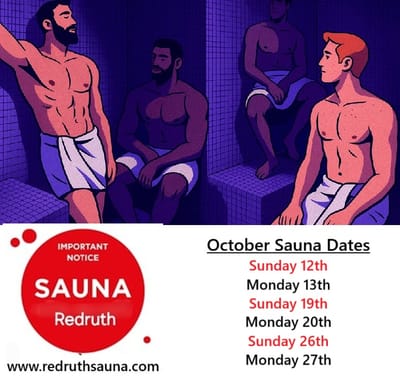  GAY SAUNA image