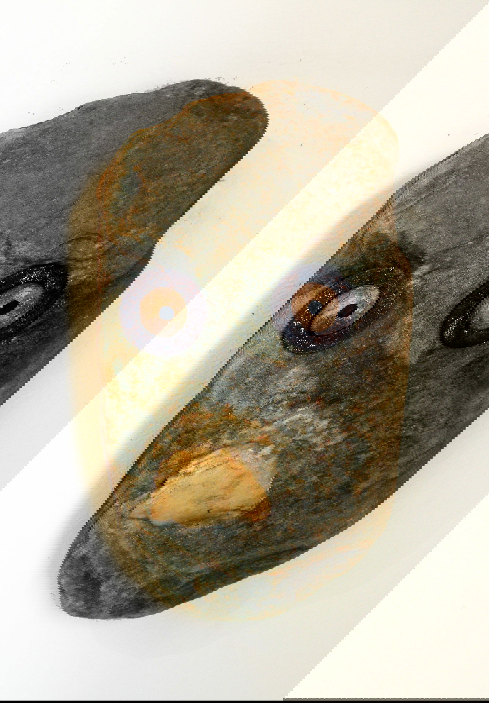 AR 29