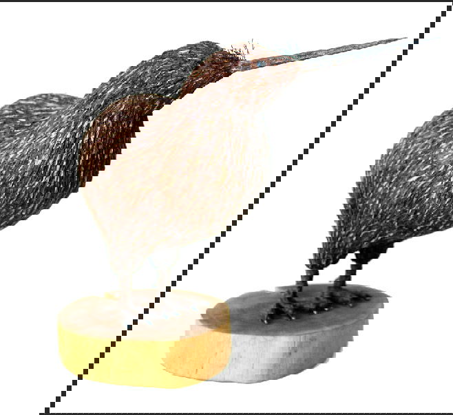KIWI - Cartón, cartón piedra 2025 43cm 30cm 18cm