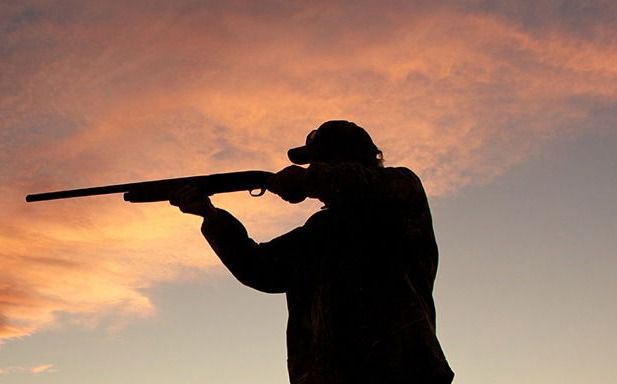 LA SOCIETE DE CHASSE