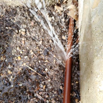Why we dont install dripline?
