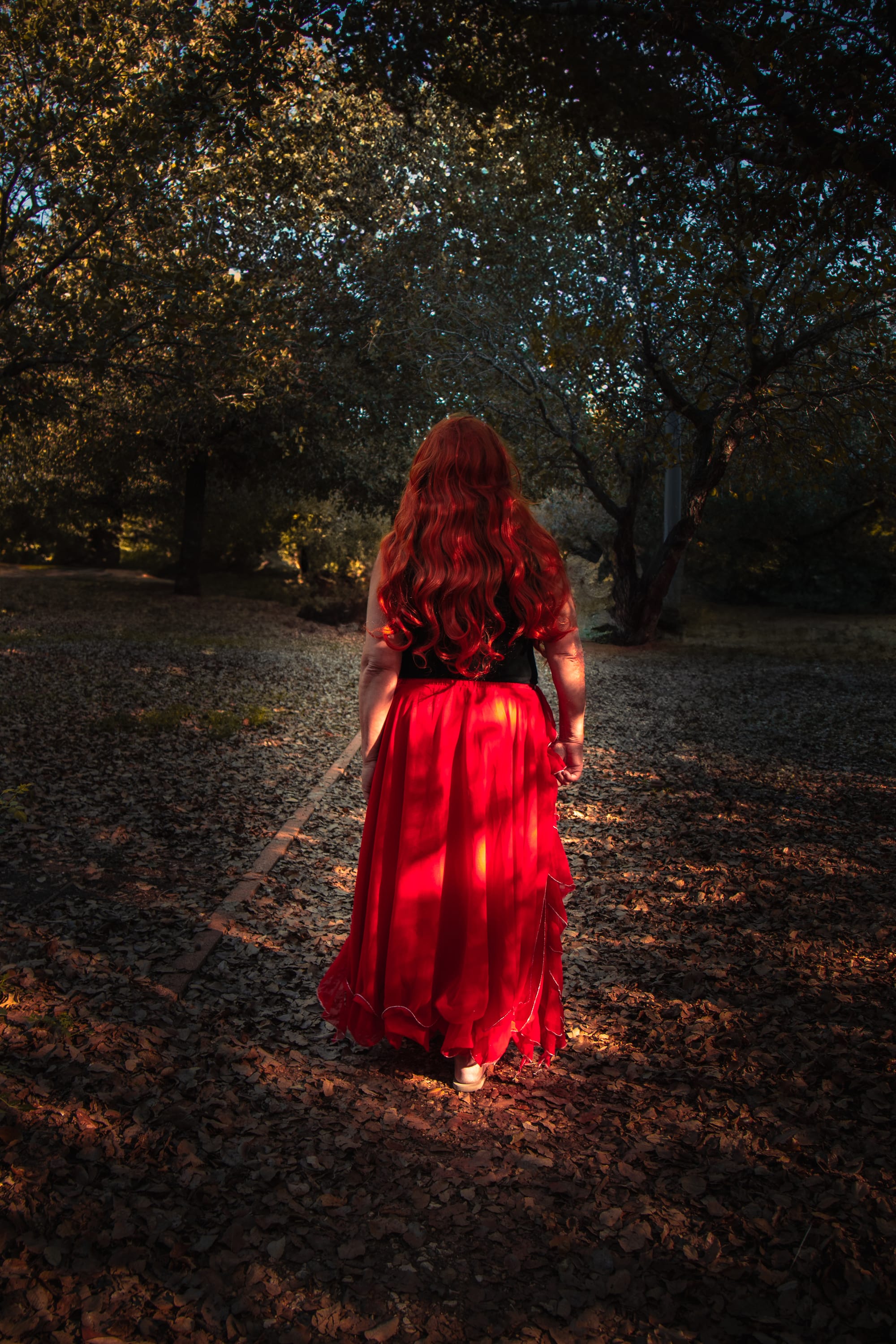 בין נח לאברהם - בין המבול וקשת הברית