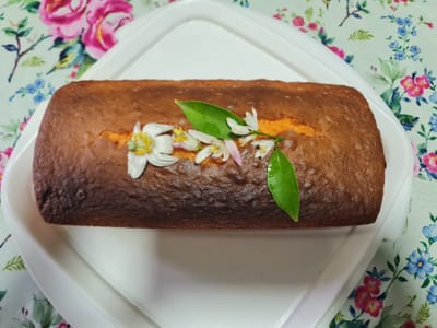 הכל על טהרת הצומח