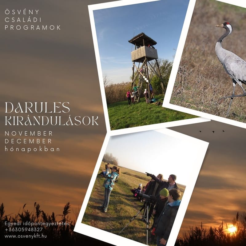 Darules és az őszi puszta élővilága - családi kirándulások egyedi időpont egyeztetéssel