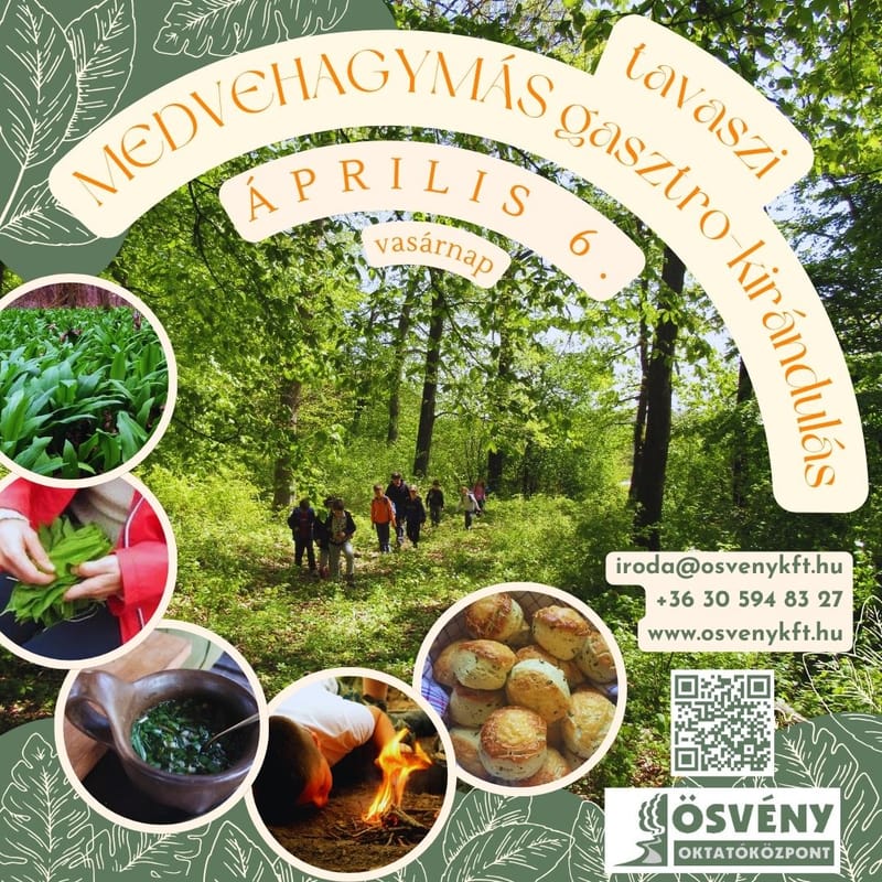 Medvehagymás gasztro-kirándulás a Gerecsében - ÖSVÉNY Családi Programok 2025.
