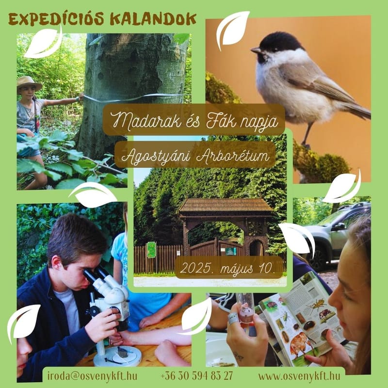 EXPEDÍCIÓS FELFEDEZŐNAP - a hazai vadon megismerése, Agostyáni Arborétum - ÖSVÉNY Családi Programok 2025.