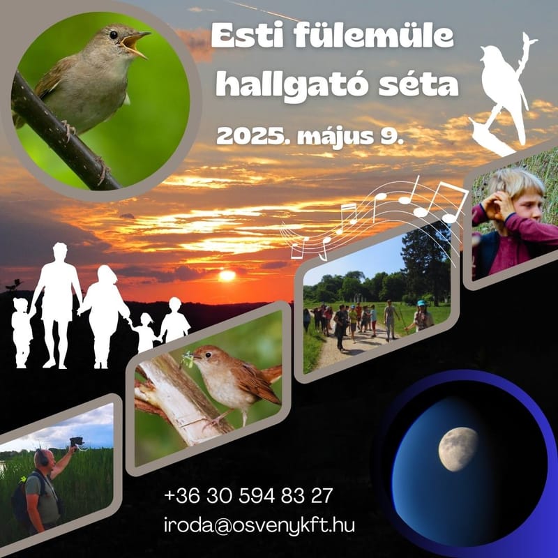 Esti fülemüle hallgató séta - ÖSVÉNY Családi Programok 2025.