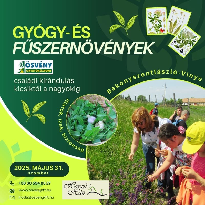 Gyógy- és fűszernövény-ismereti kirándulás - Családi Programok 2025.