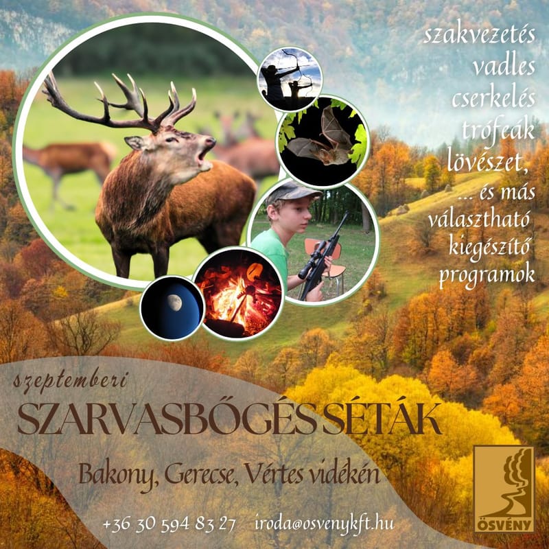 SZARVASBŐGÉSES ESTÉK és ŐSZI KALANDOK a Bakonyban, Gerecsében, Vértesben - egyedi időpont egyeztetéssel csoportok számára