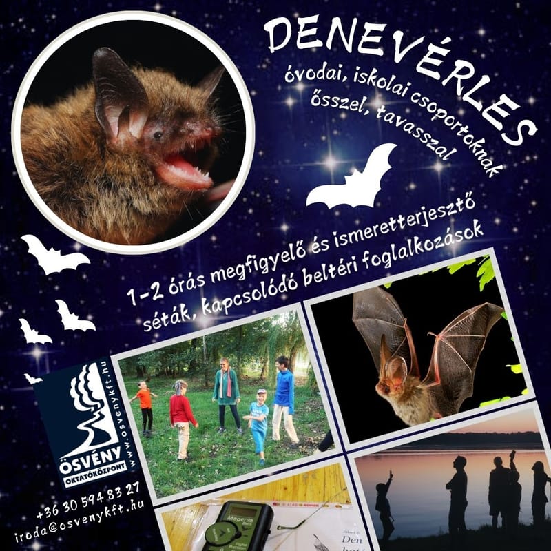 DENEVÉRLES - megfigyelő, ismeretterjesztő programok intézményi csoportoknak
