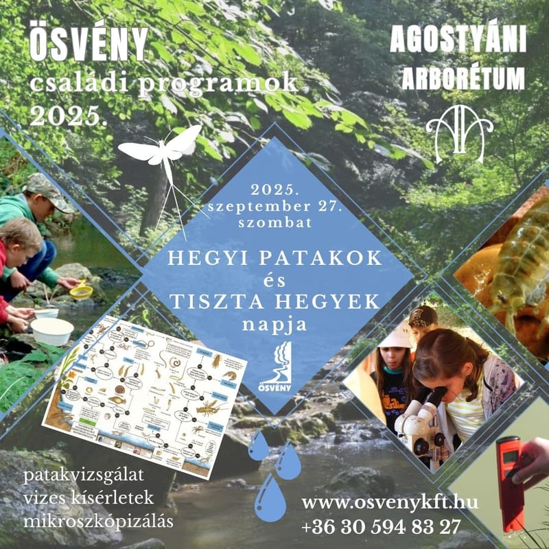 Hegyi patokok és tiszta hegyek napja, Agostyáni Arborétum - ÖSVÉNY Családi Programok 2025.