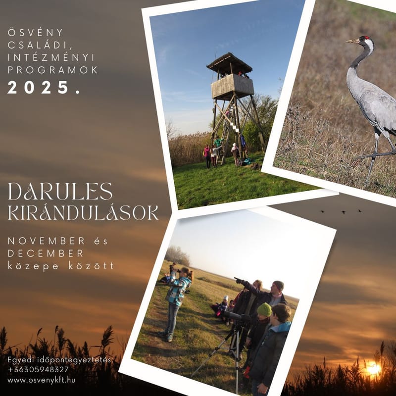 Darules és az őszi puszta élővilága - intézményi csoportok számára